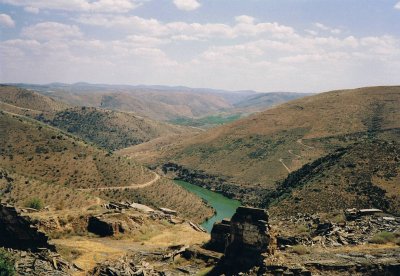 Vallée du Côa (photo D. Sacchi)